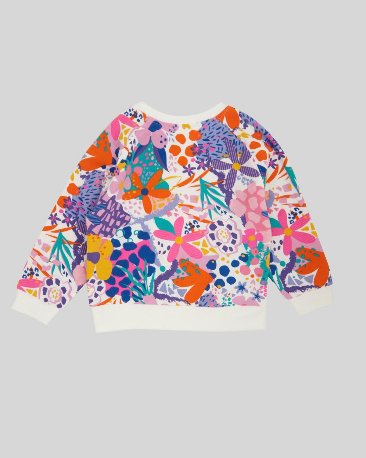 Printed Crew Neck Sweatshirt (2-14 years)