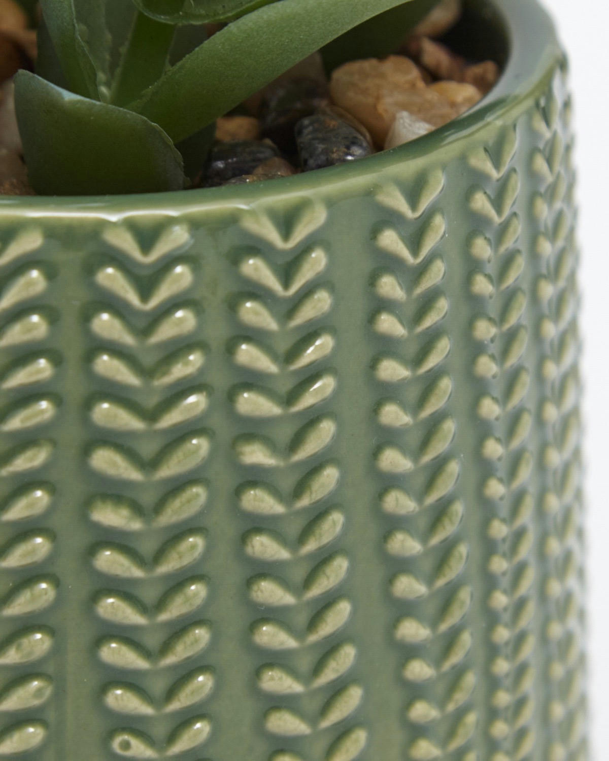 Carolyn Donnelly Eclectic Succulent In Pot