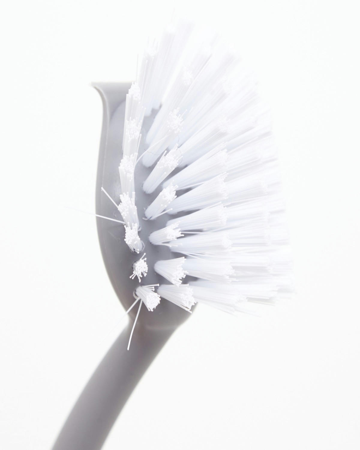 Large Dish Brush