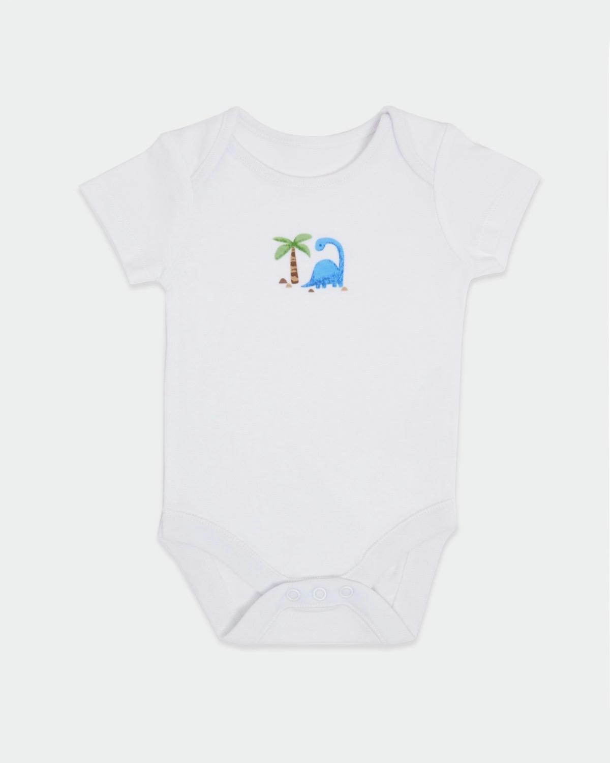 Pure Cotton Bodysuits - Pack Of 5 - (Newborn-23 Months)