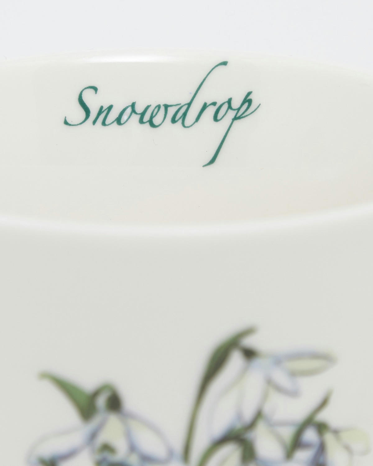 Paul Costelloe Living Flower Artwork Mug