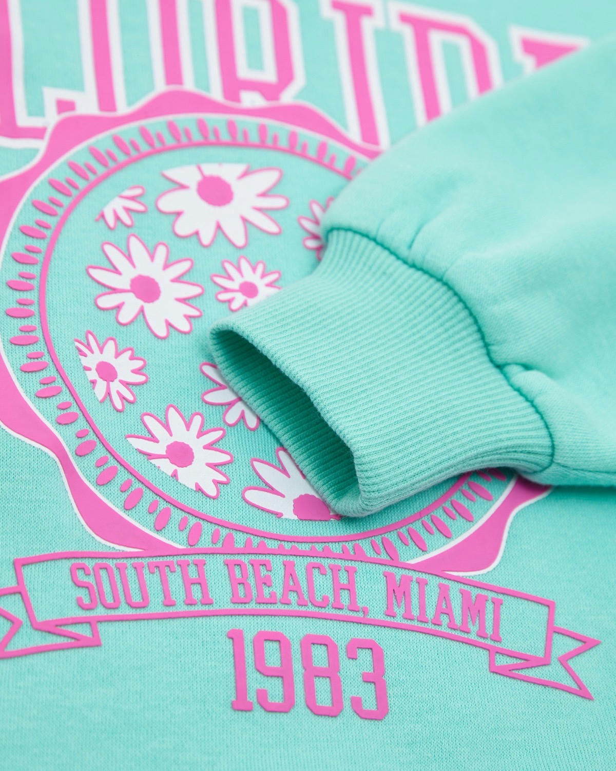 Printed Crew Neck Sweatshirt (2-14 years)