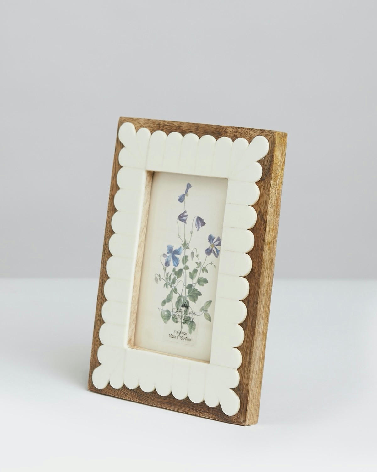 Carolyn Donnelly Eclectic Scallop Frame