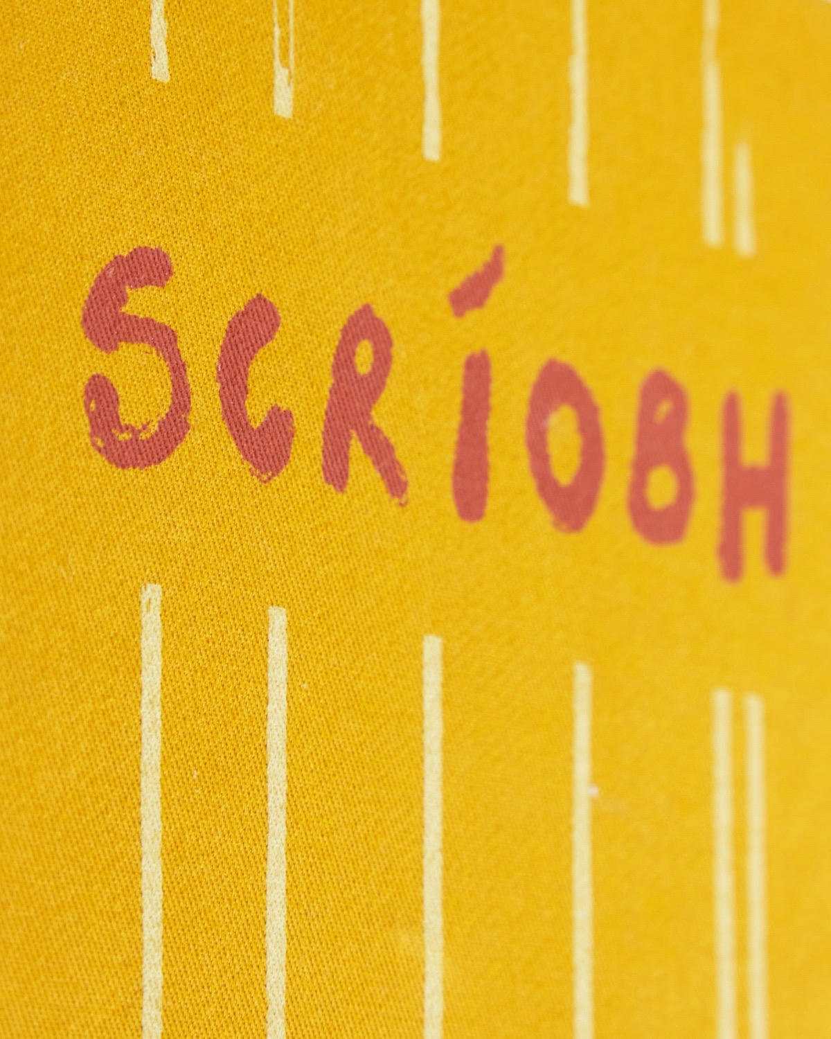 Helen James Considered Scriobh Notebook