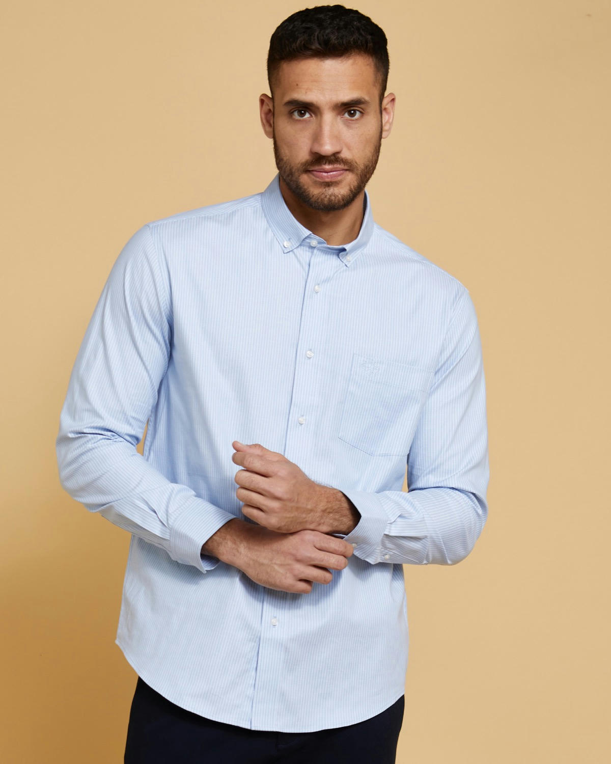Paul Costelloe Living Blue Stripe Oxford Shirt