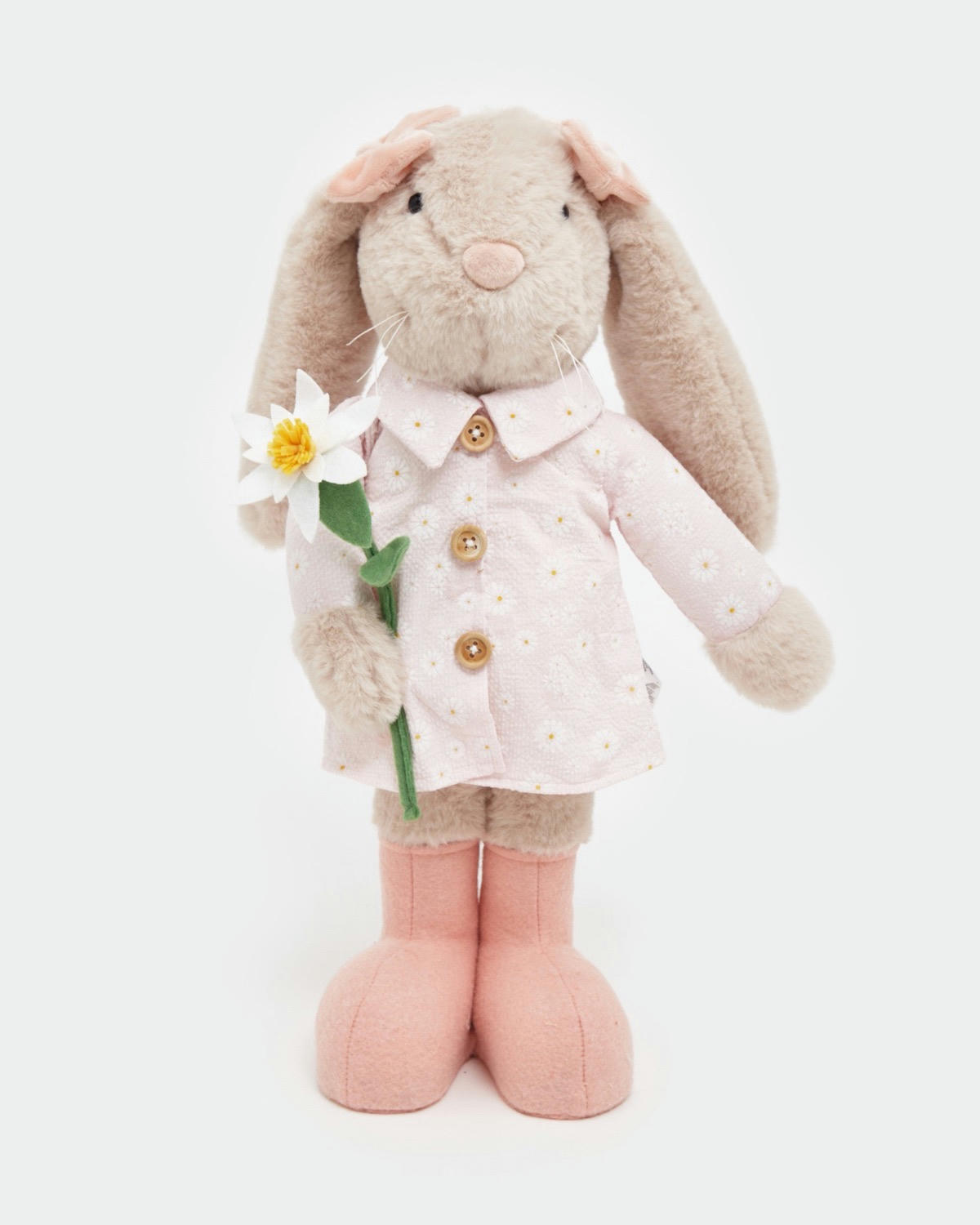 Girl Bunny In Coat