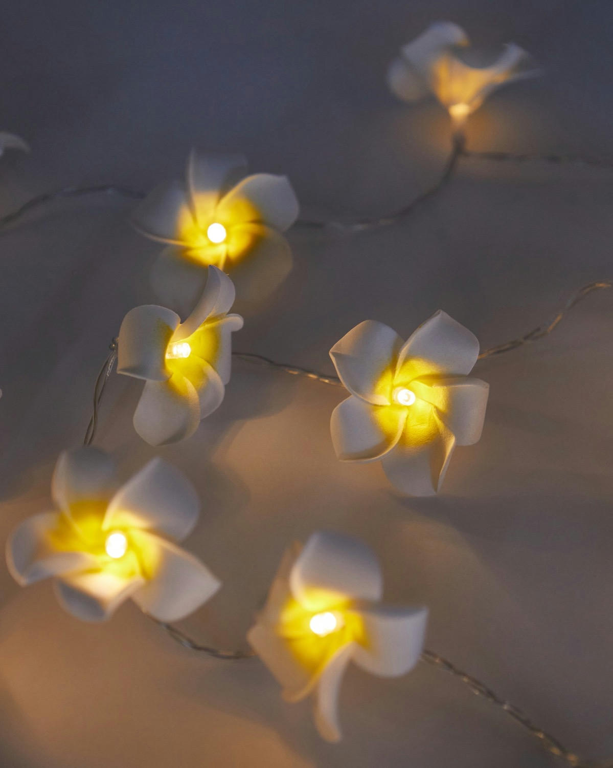 Battery Operated Daisy LED String Lights