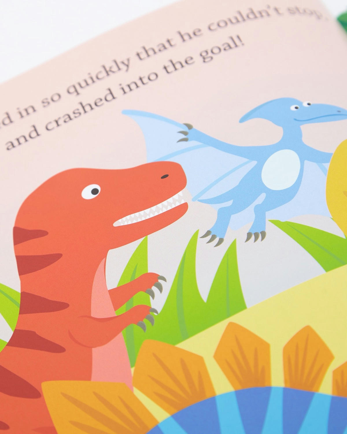 Children's Illustrated Storybook