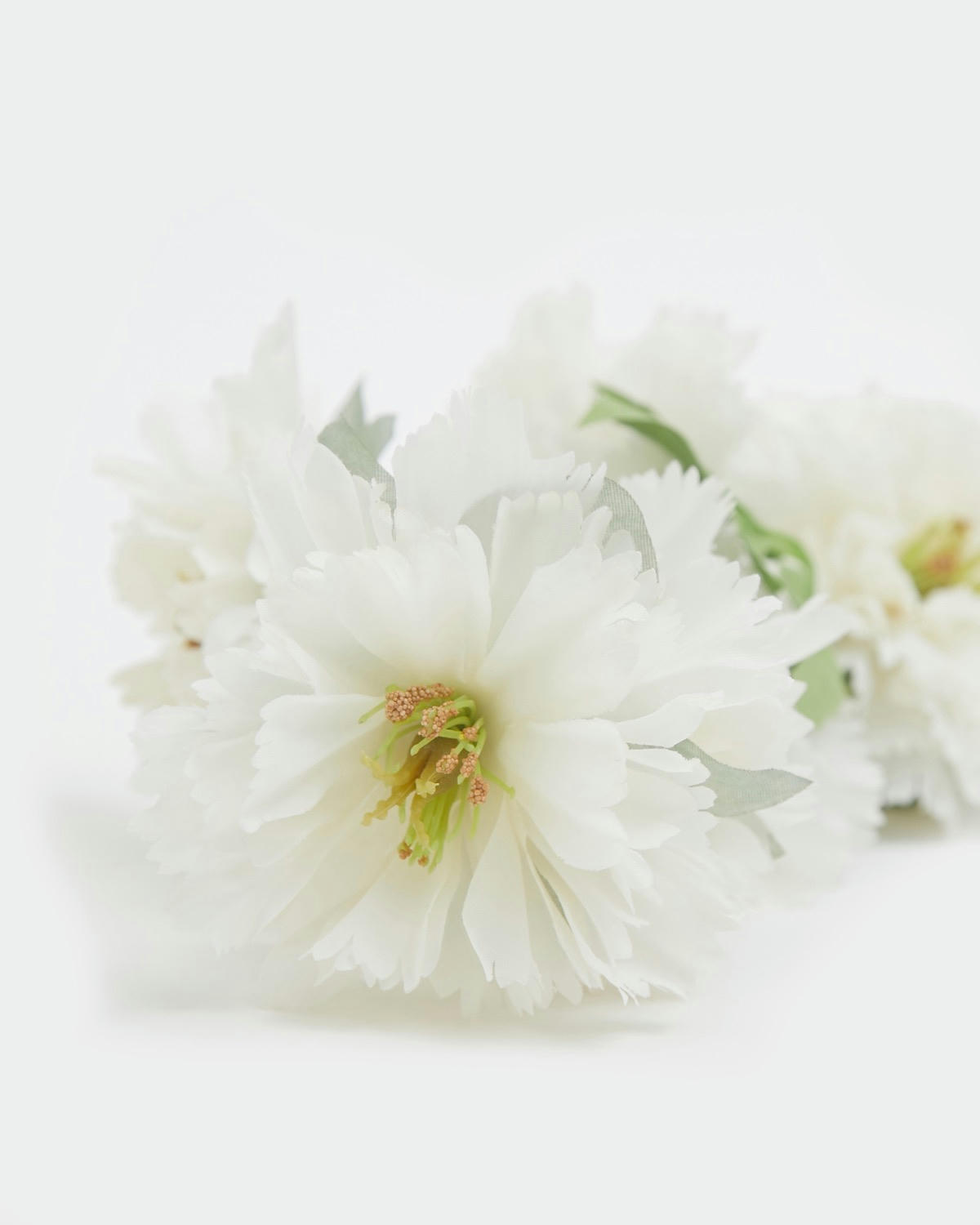 Paul Costelloe Living Multi Stem Peony