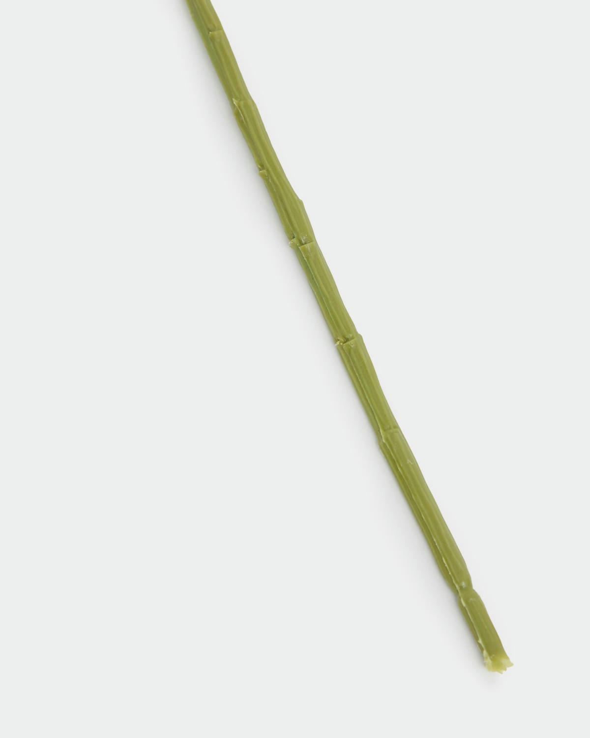 Paul Costelloe Living Multi Stem Peony