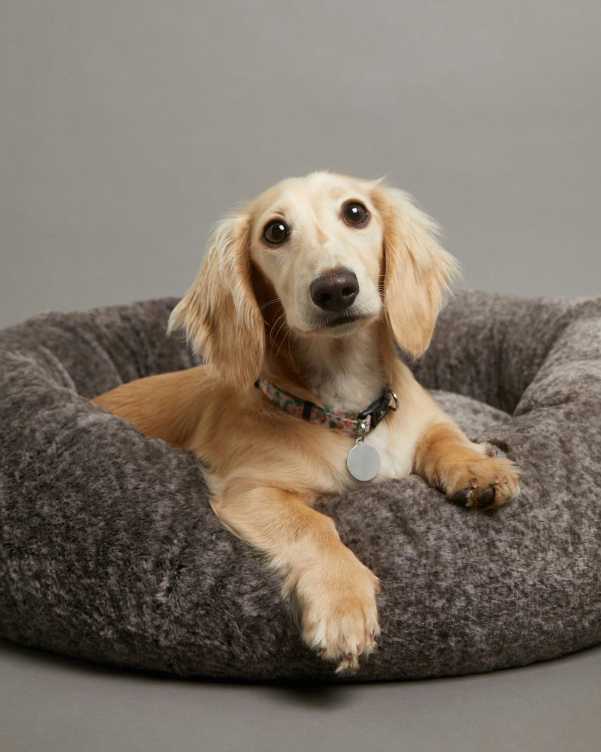 Super Plush Donut Dog Bed