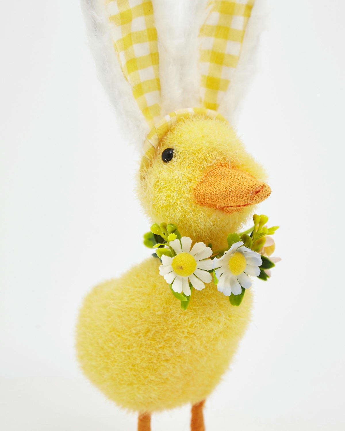 Duck With Bunny Ears