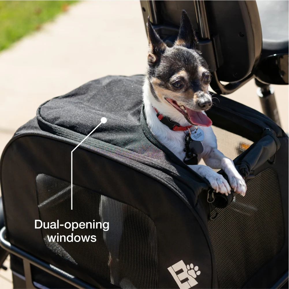 Small Pet Carrier
