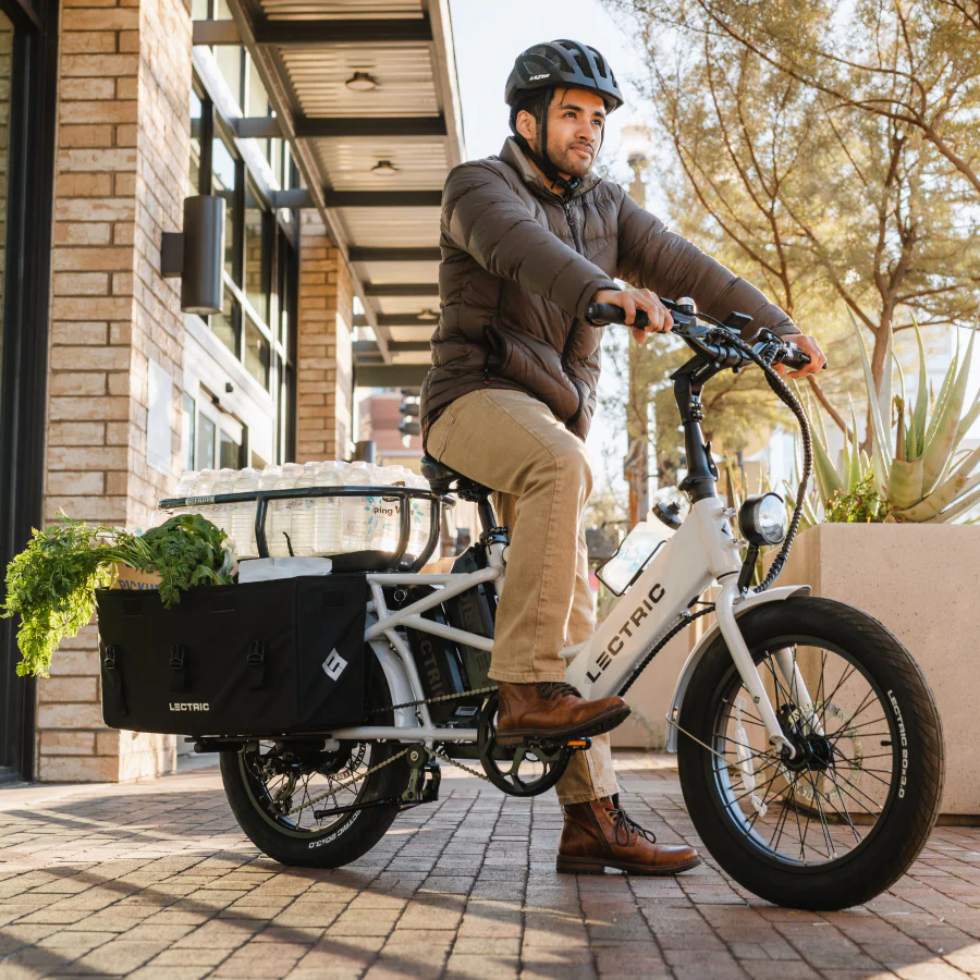 Legacy XL Cargo Pannier Bags (2)