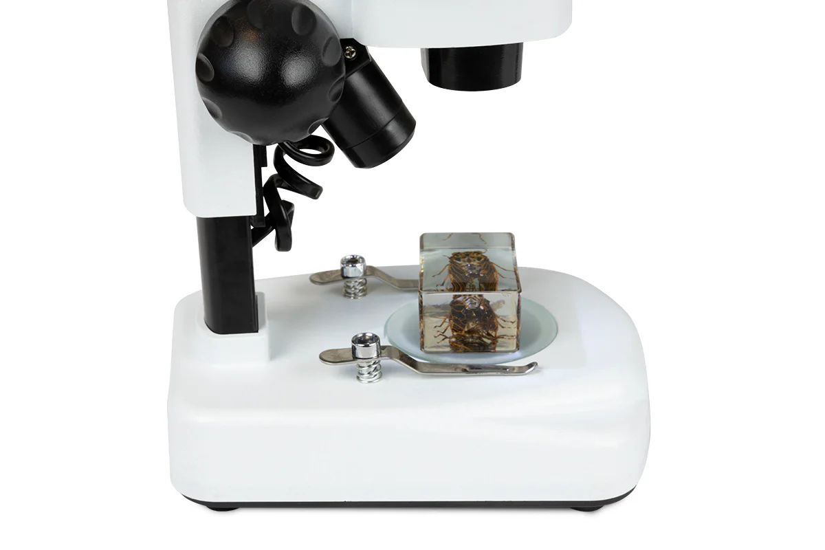Celestron Labs S20 Angled Stereo Microscope