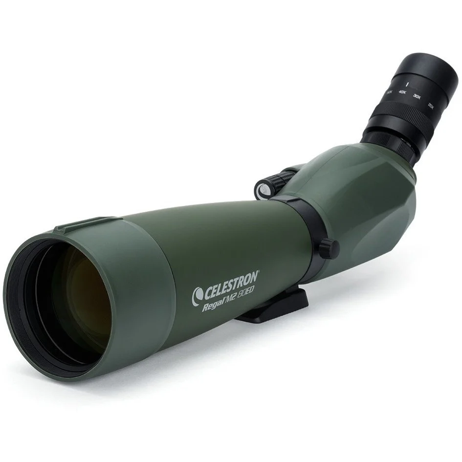 Used - Regal M2 20-60x80mm ED Angled Zoom Spotting Scope