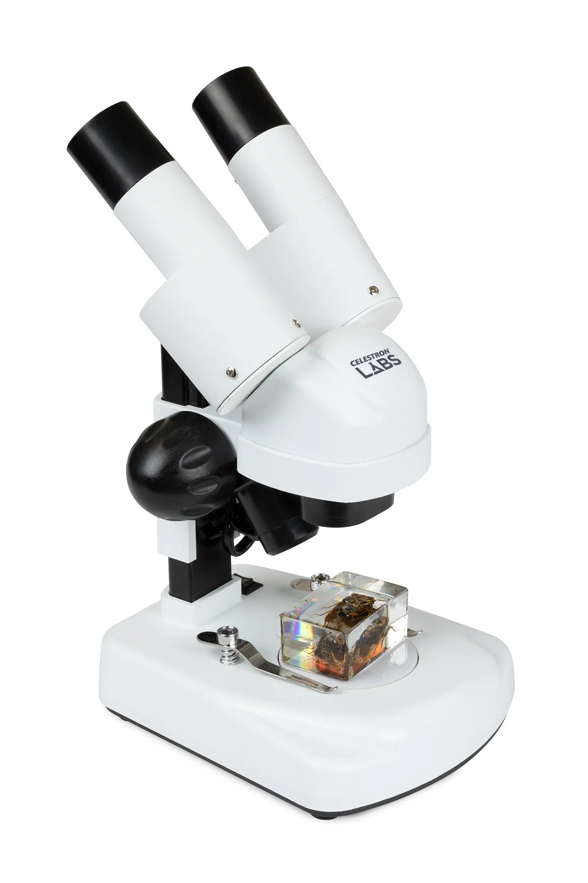 Celestron Labs S20 Angled Stereo Microscope