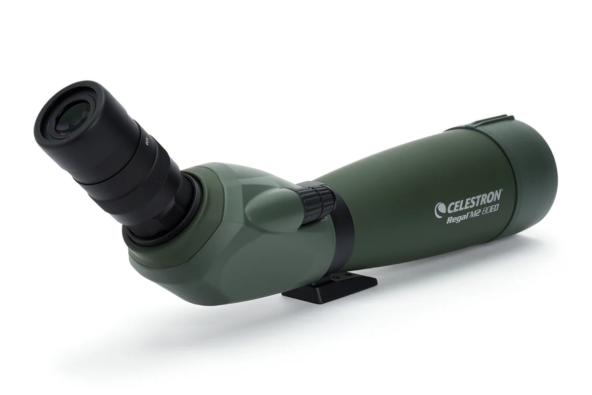 Used - Regal M2 20-60x80mm ED Angled Zoom Spotting Scope