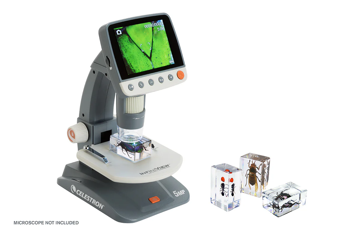 3D Bug Specimen Kit #5