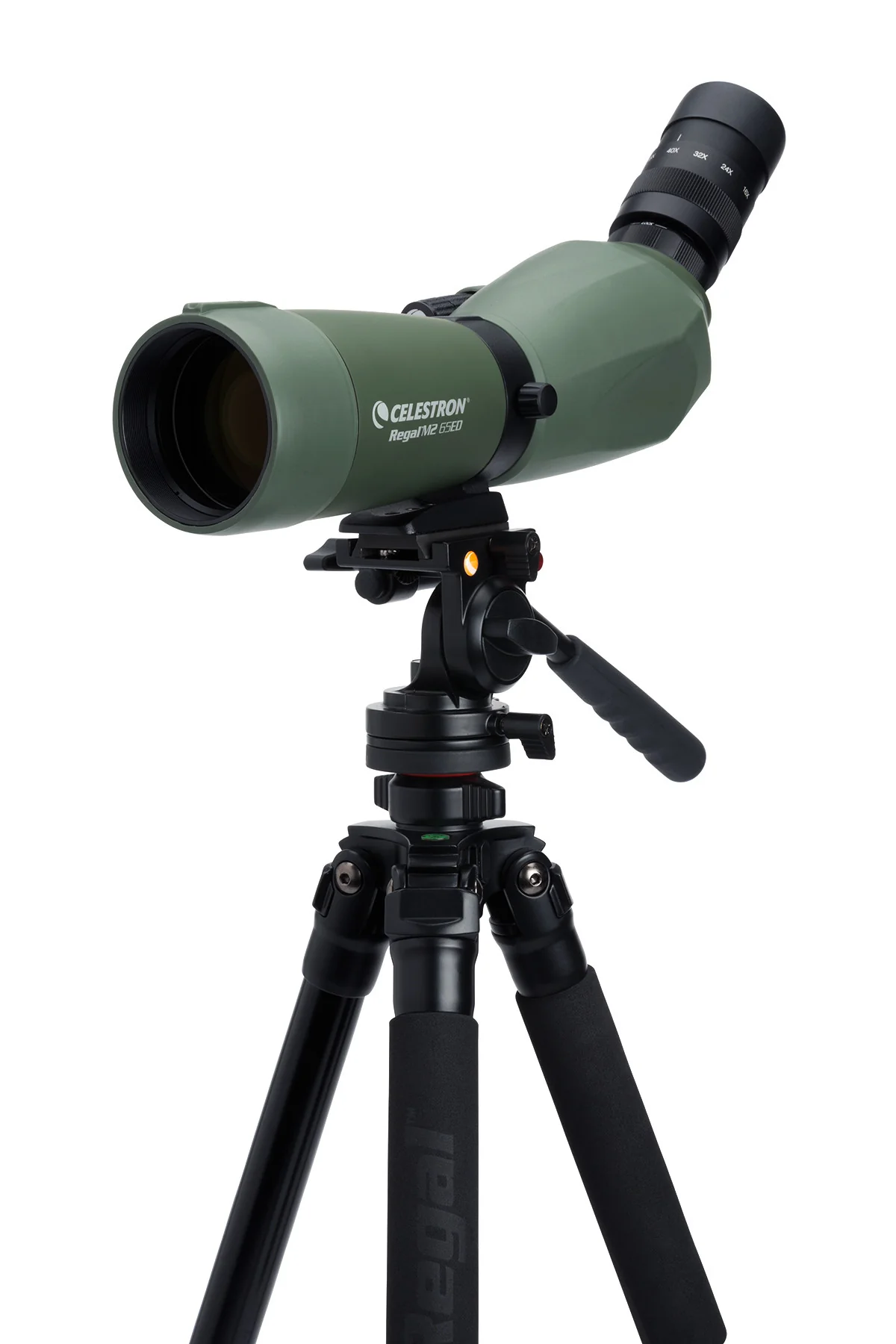 Regal M2 16-48x65mm ED Angled Zoom Spotting Scope