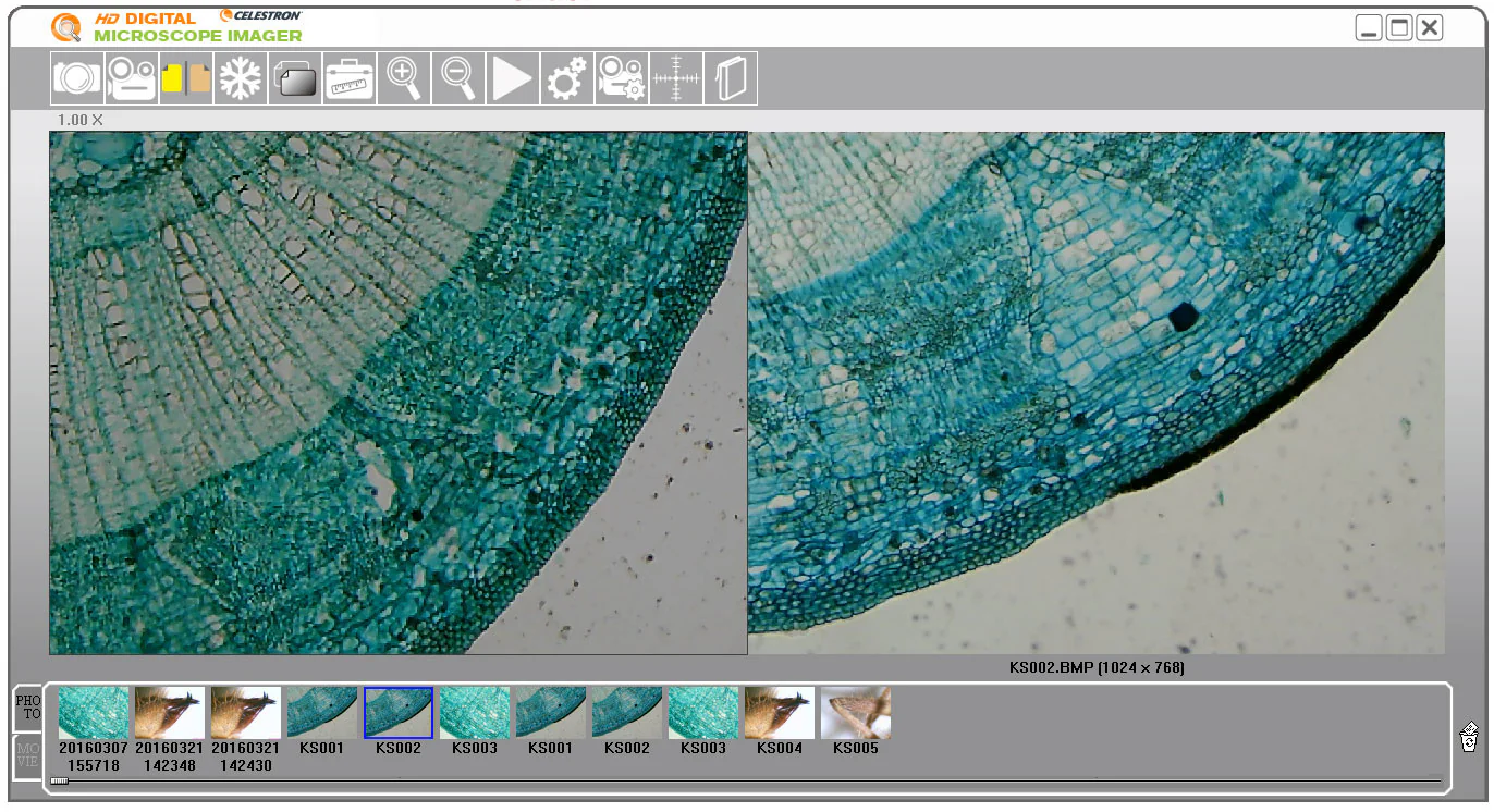 5MP Digital Microscope Imager