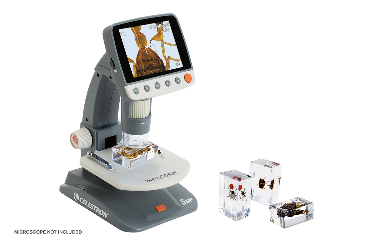 3D Bug Specimen Kit #4