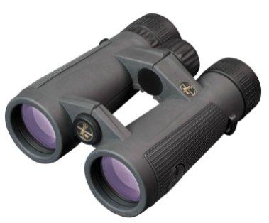 Leupold BX-5 Santiam HD 10x50mm Roof Prism Shadow Gray Armor Coated