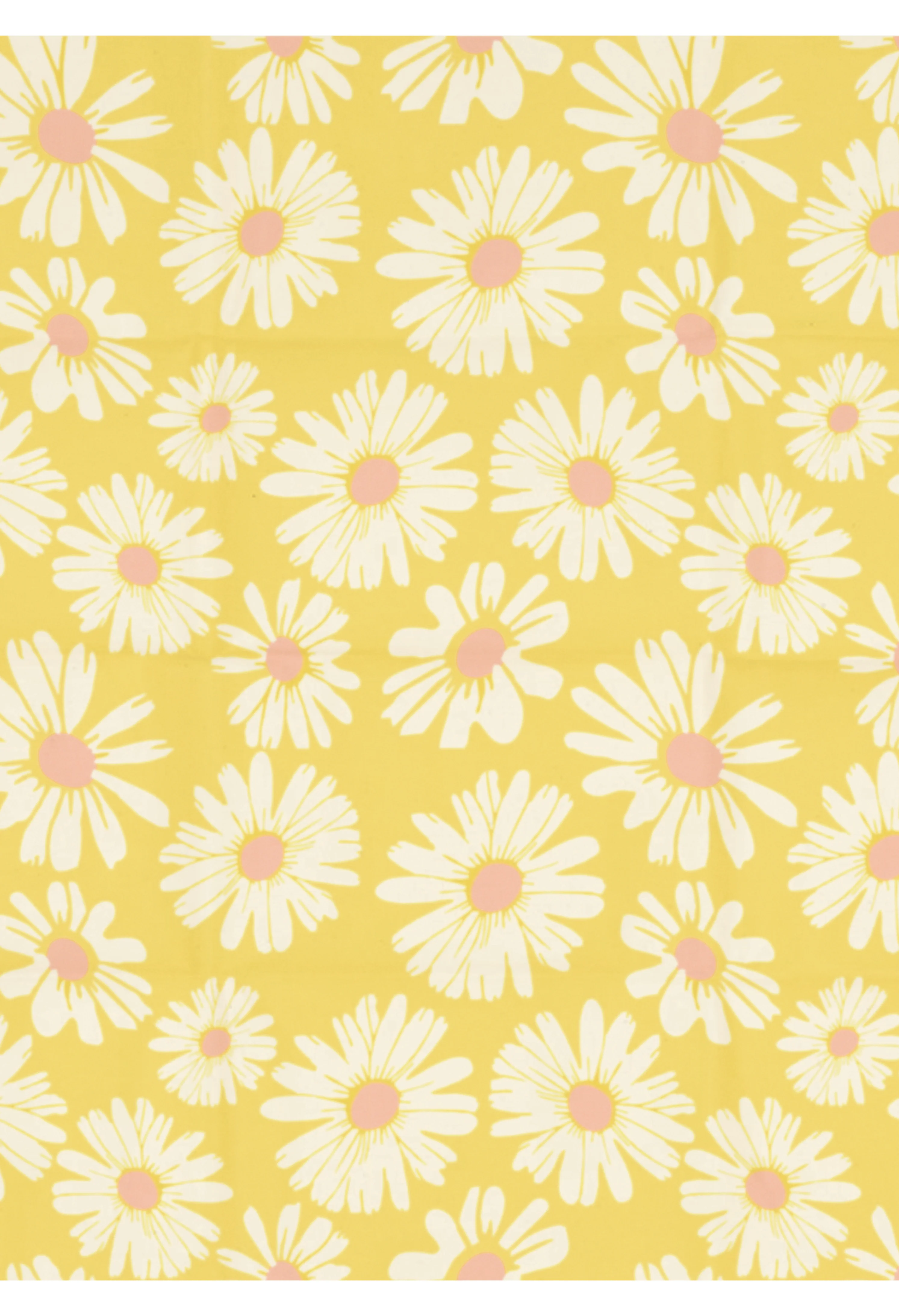 Beeswax Wraps