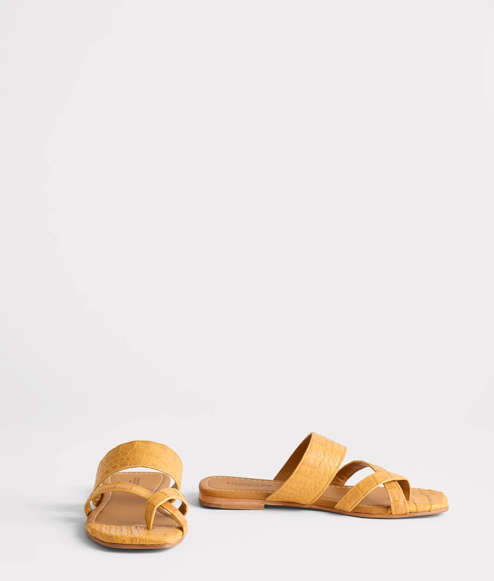 Fiorella :: Butterscotch
