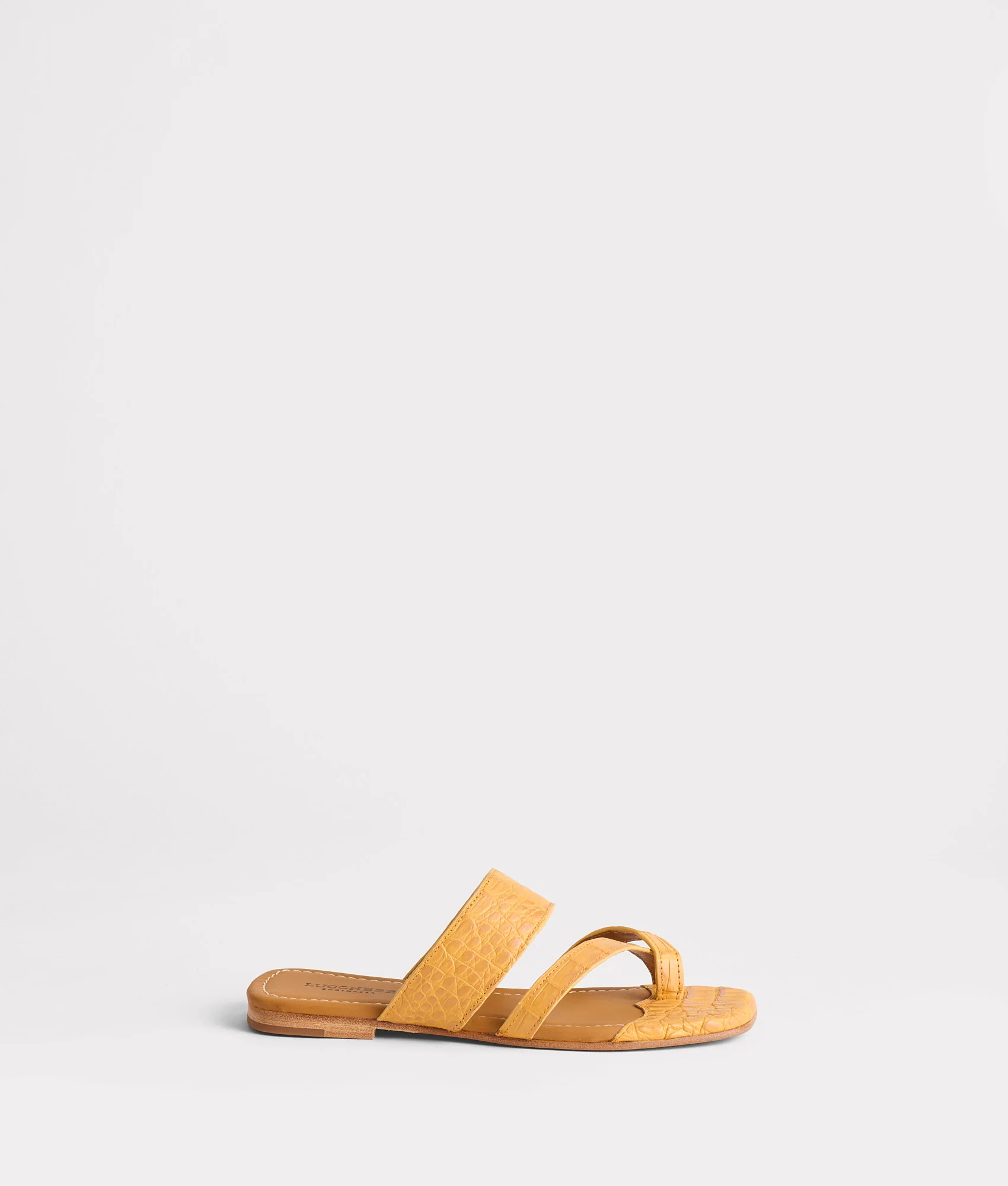 Fiorella :: Butterscotch