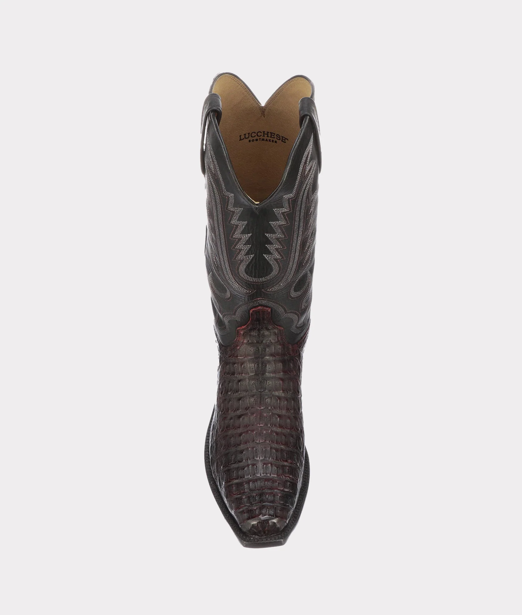 Walter :: Black Cherry + Black