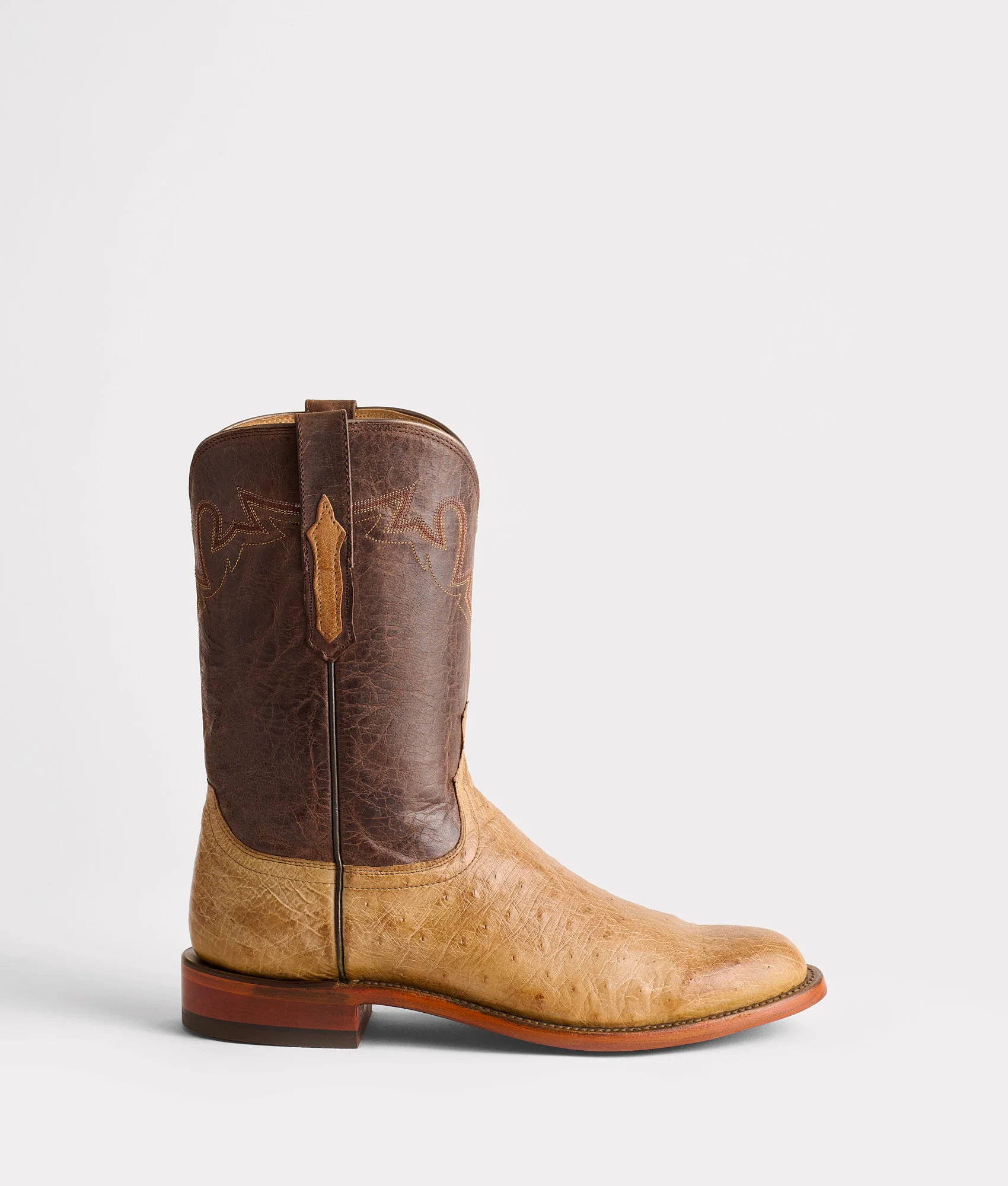 Sunset Exotic :: Olive