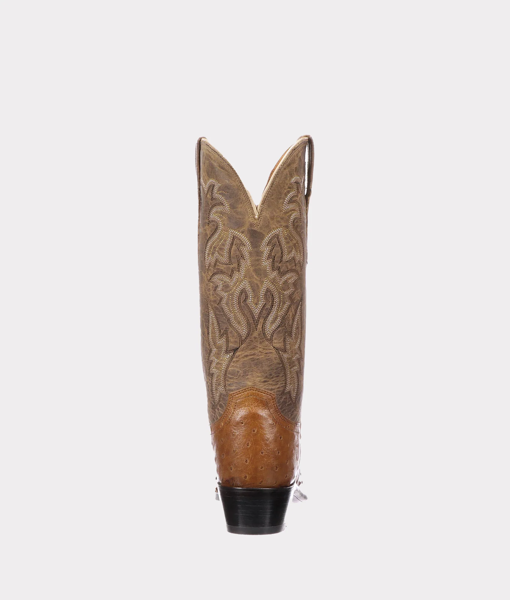 Augusta :: Tan + Camel