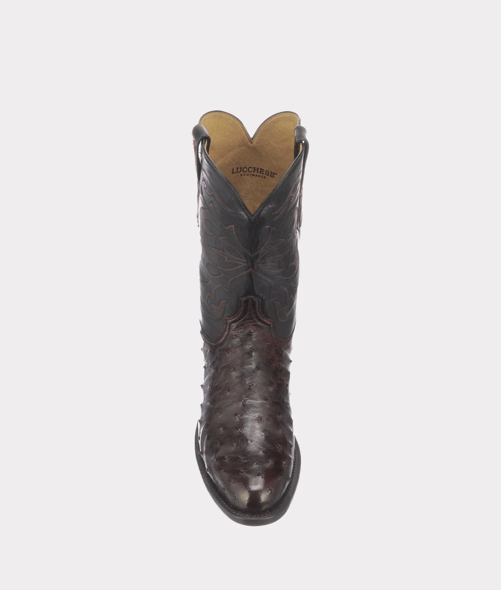 Hudson :: Black Cherry + Black