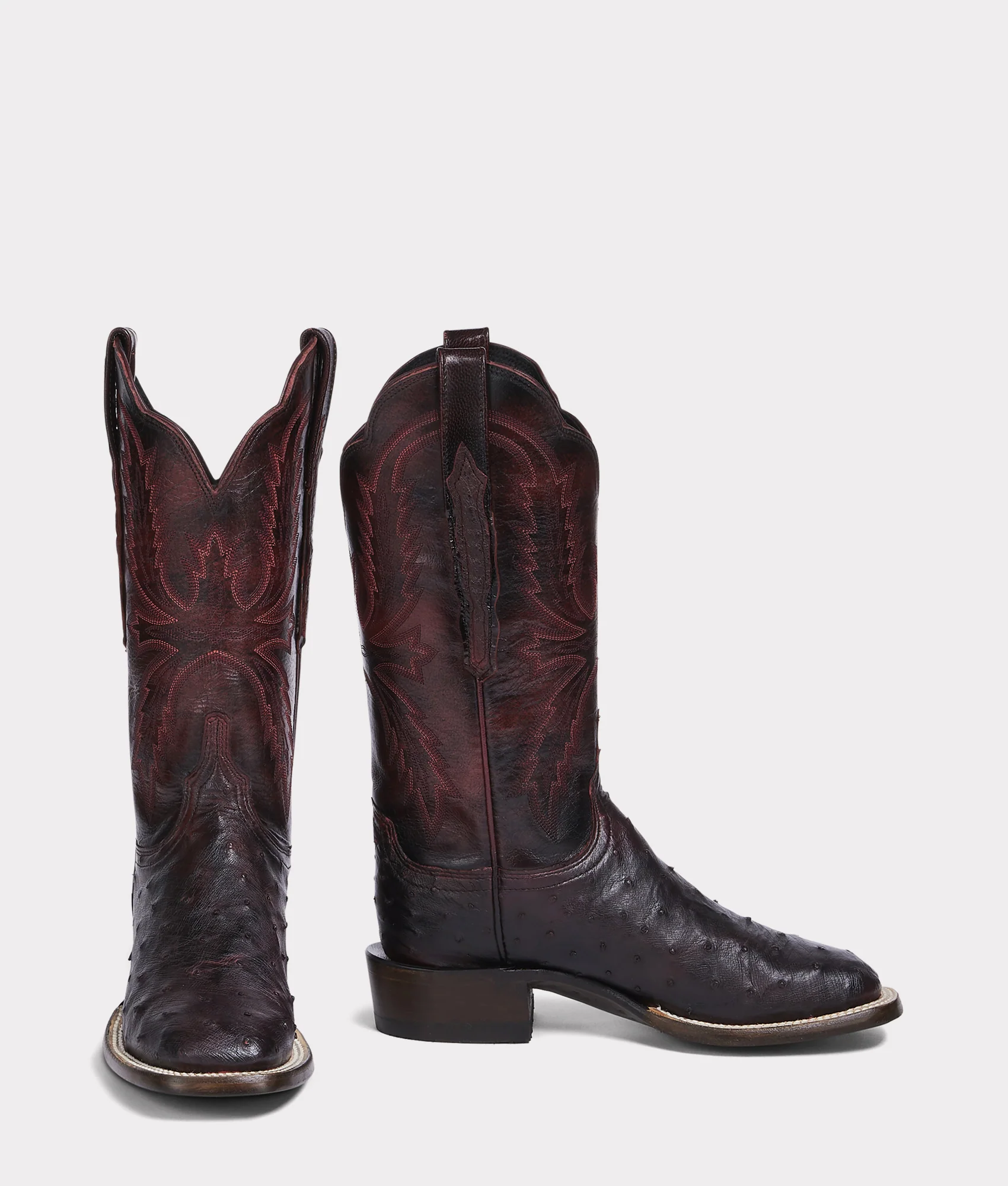 Josephine Horseman :: Antique Black Cherry