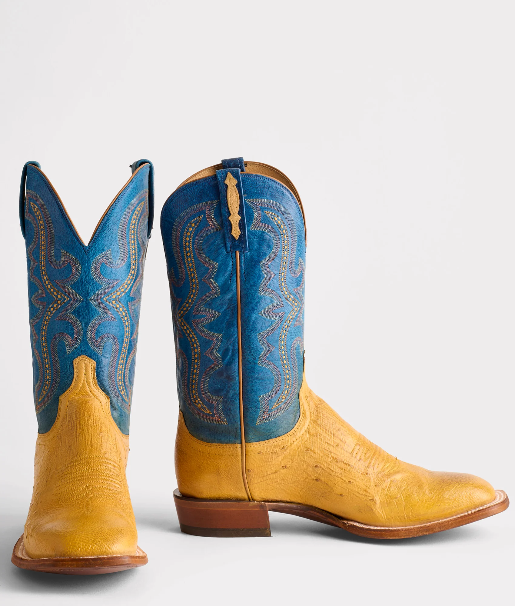 Cecil Exotic :: Saddle