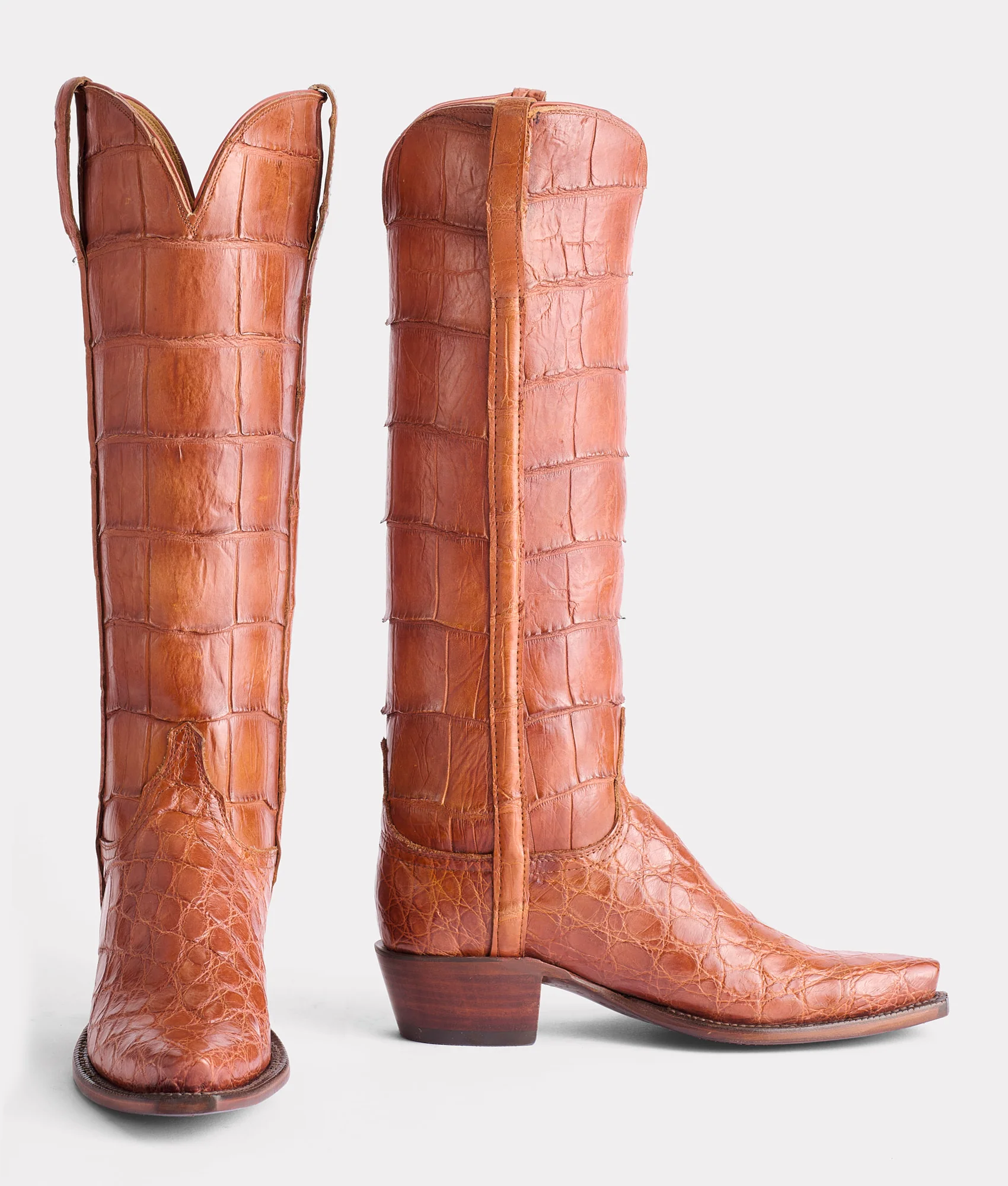 Lady :: Cognac