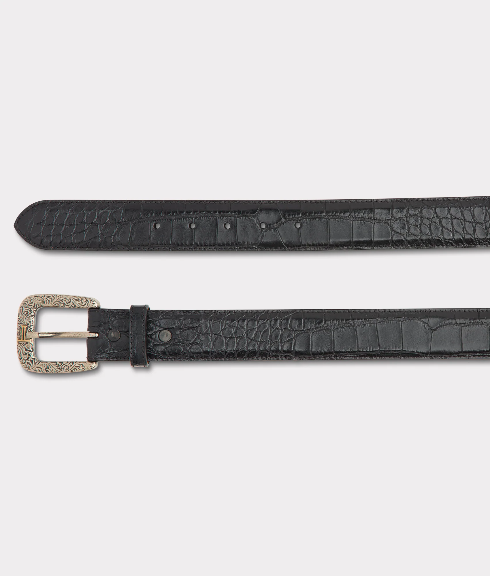 American Alligator - Black