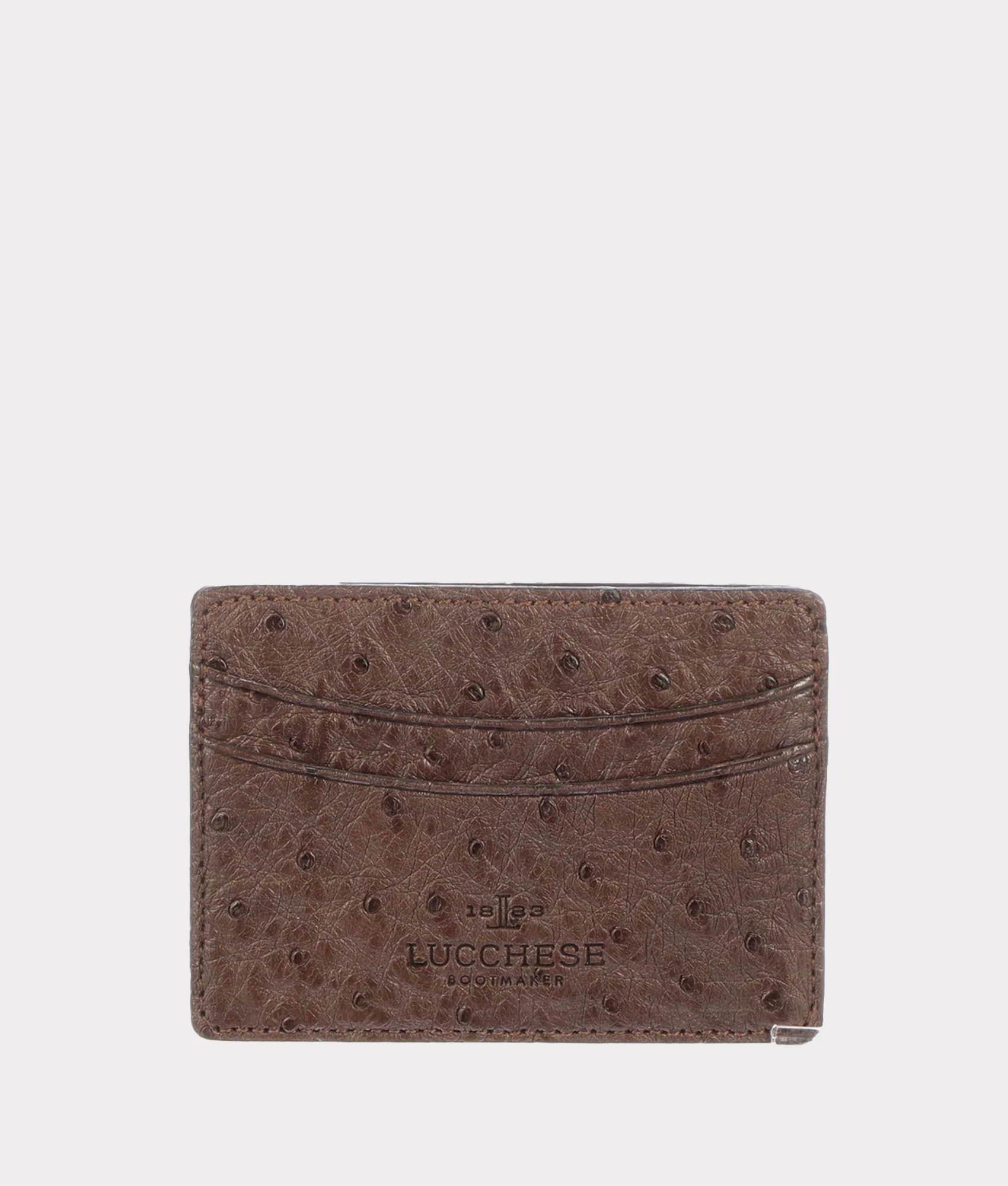 Credit Card Case – Ostrich :: Sienna