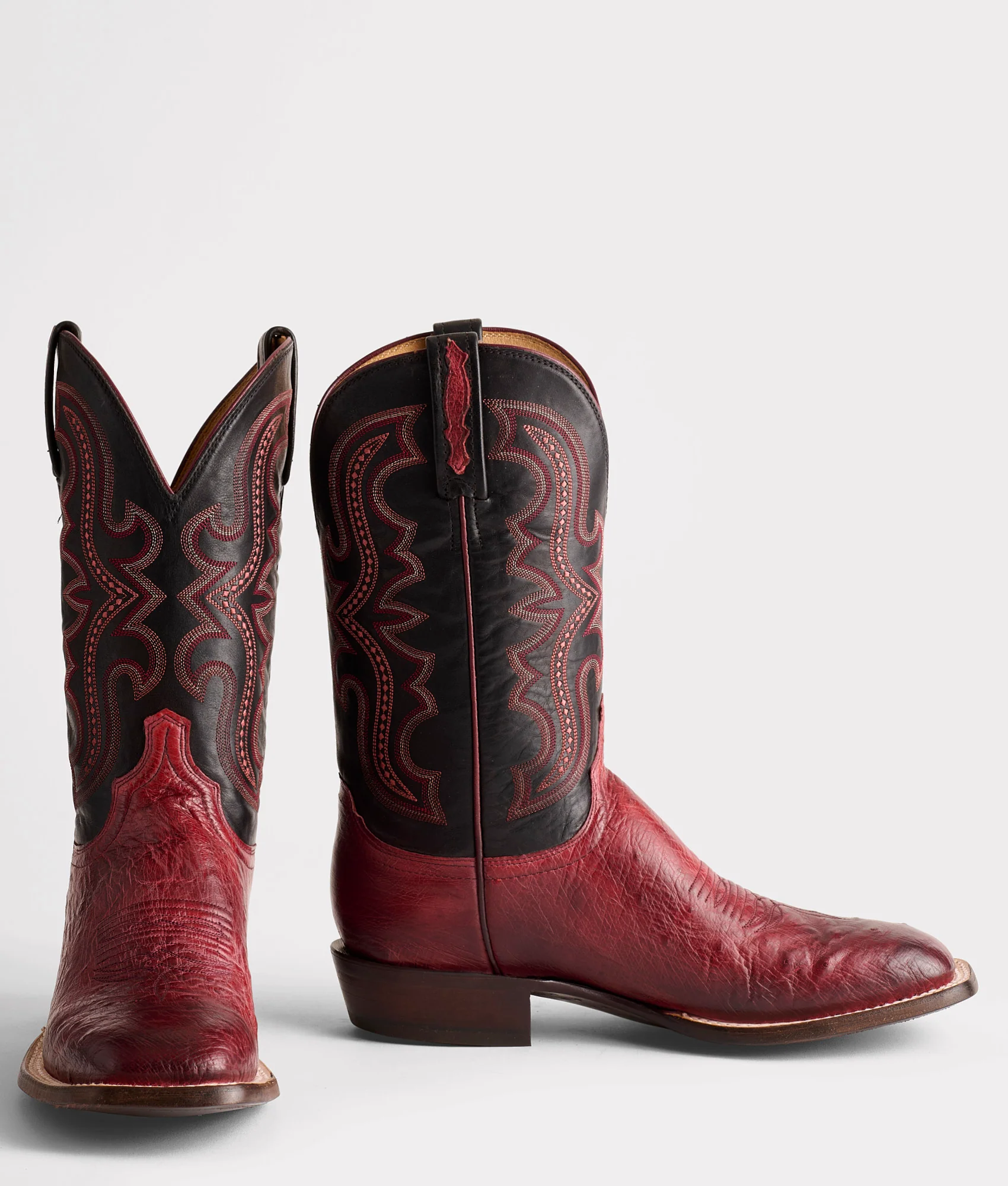Cecil Exotic :: Black Cherry