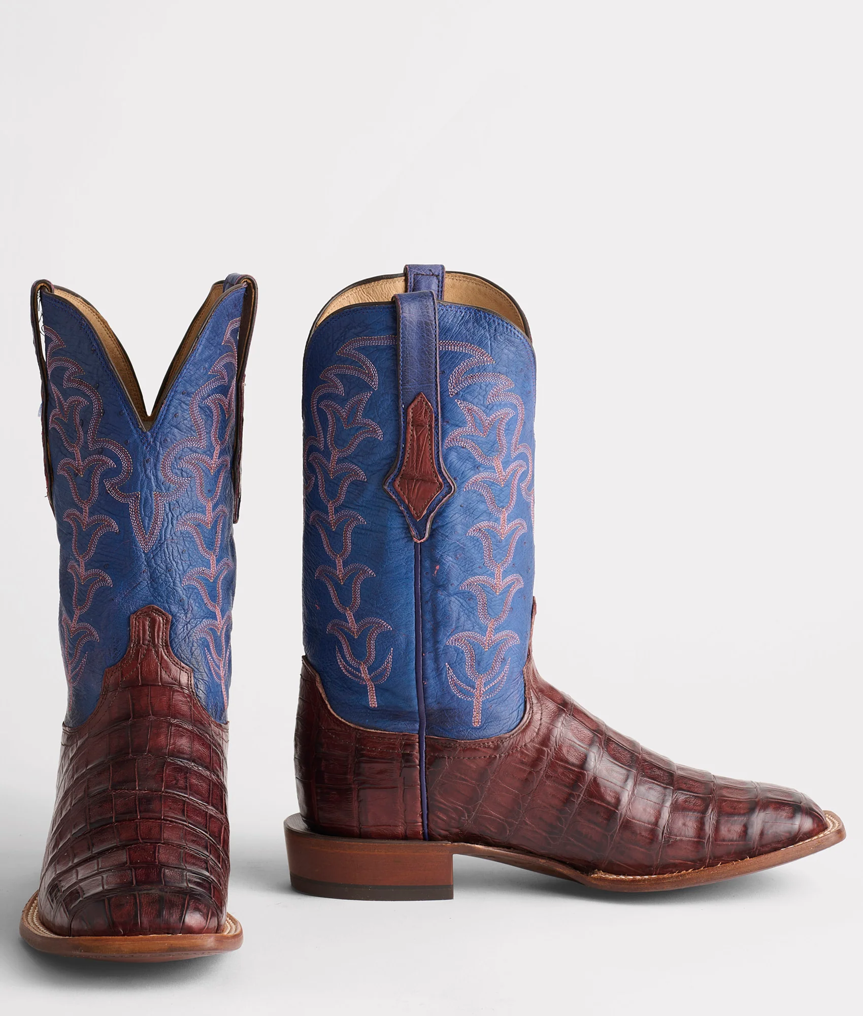 Tulipano Horseman :: Chocolate
