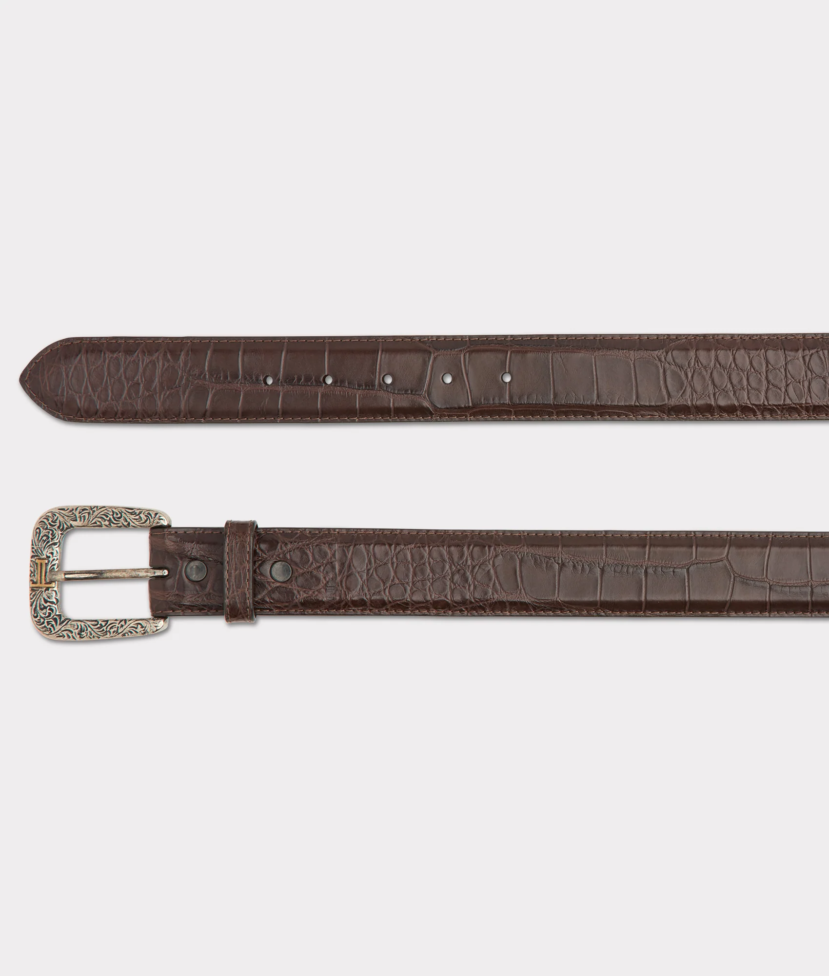 American Alligator - Chocolate