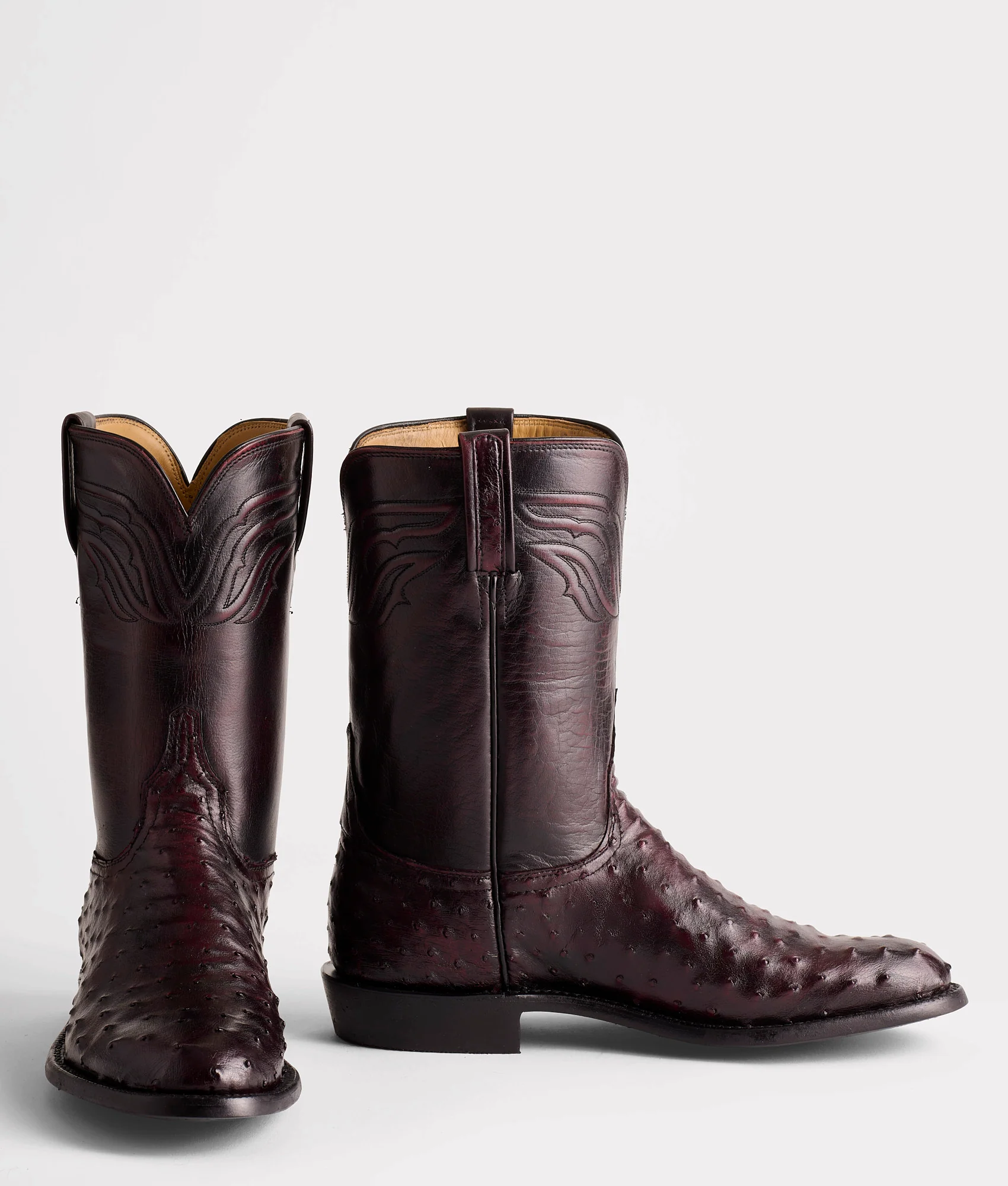 Augustus :: Black Cherry