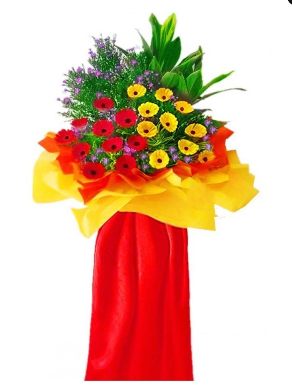 Opening Flower 211
