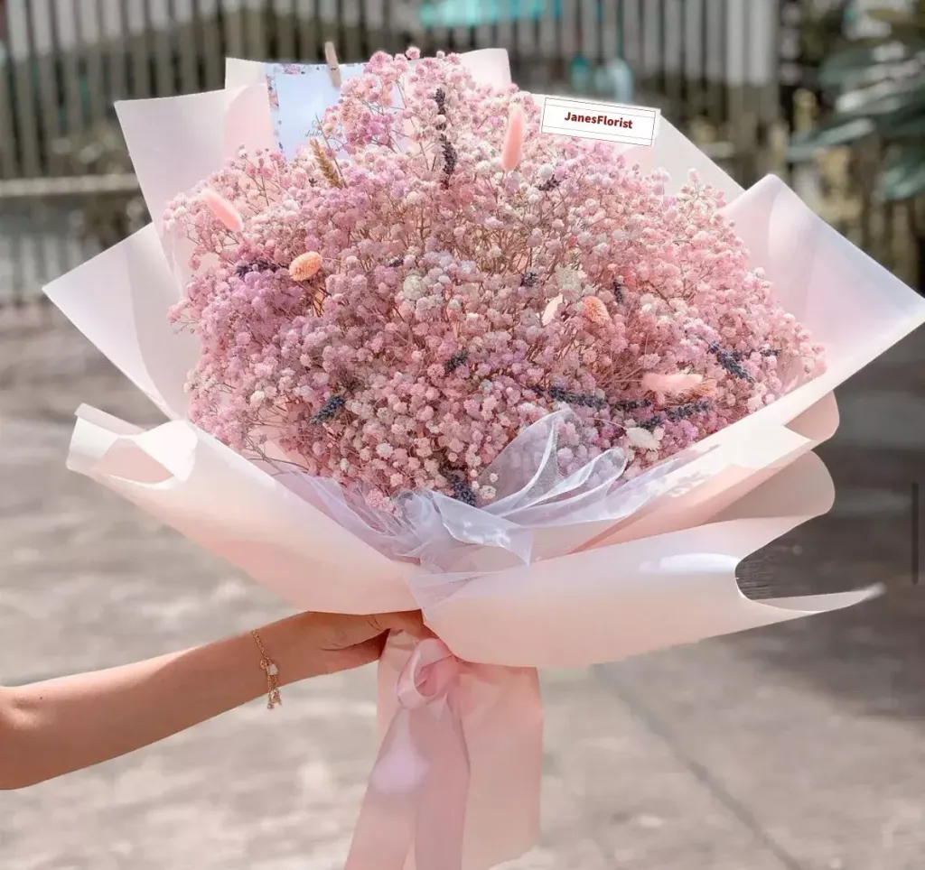 Pink Baby Breath 02
