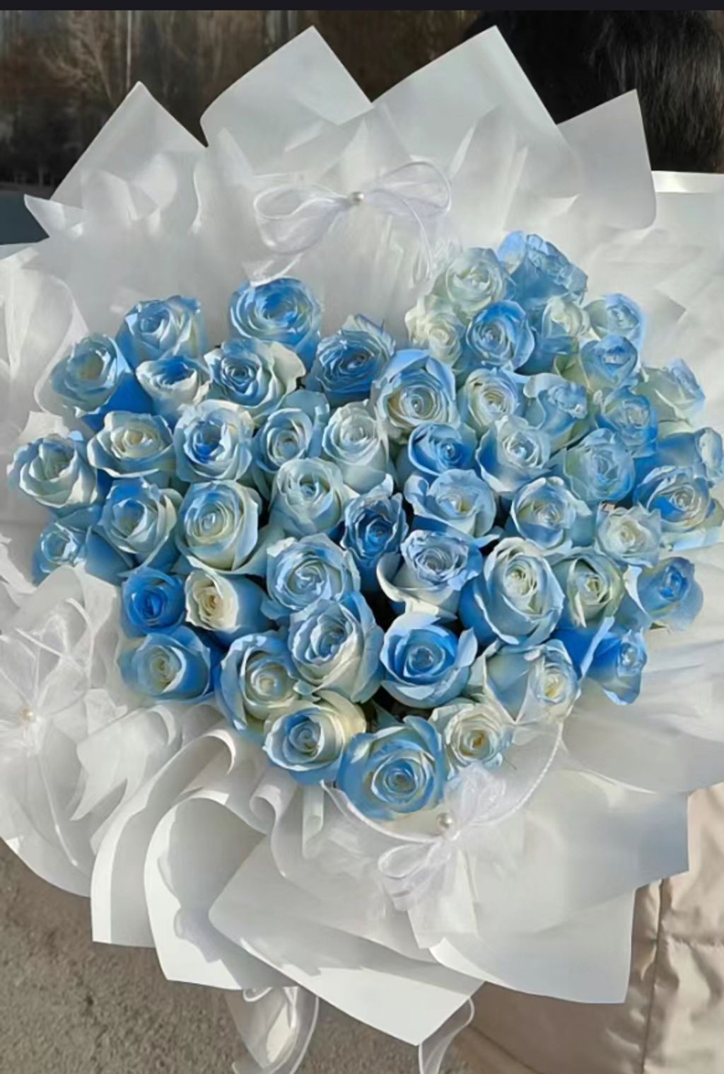 Rose Bouquet 61