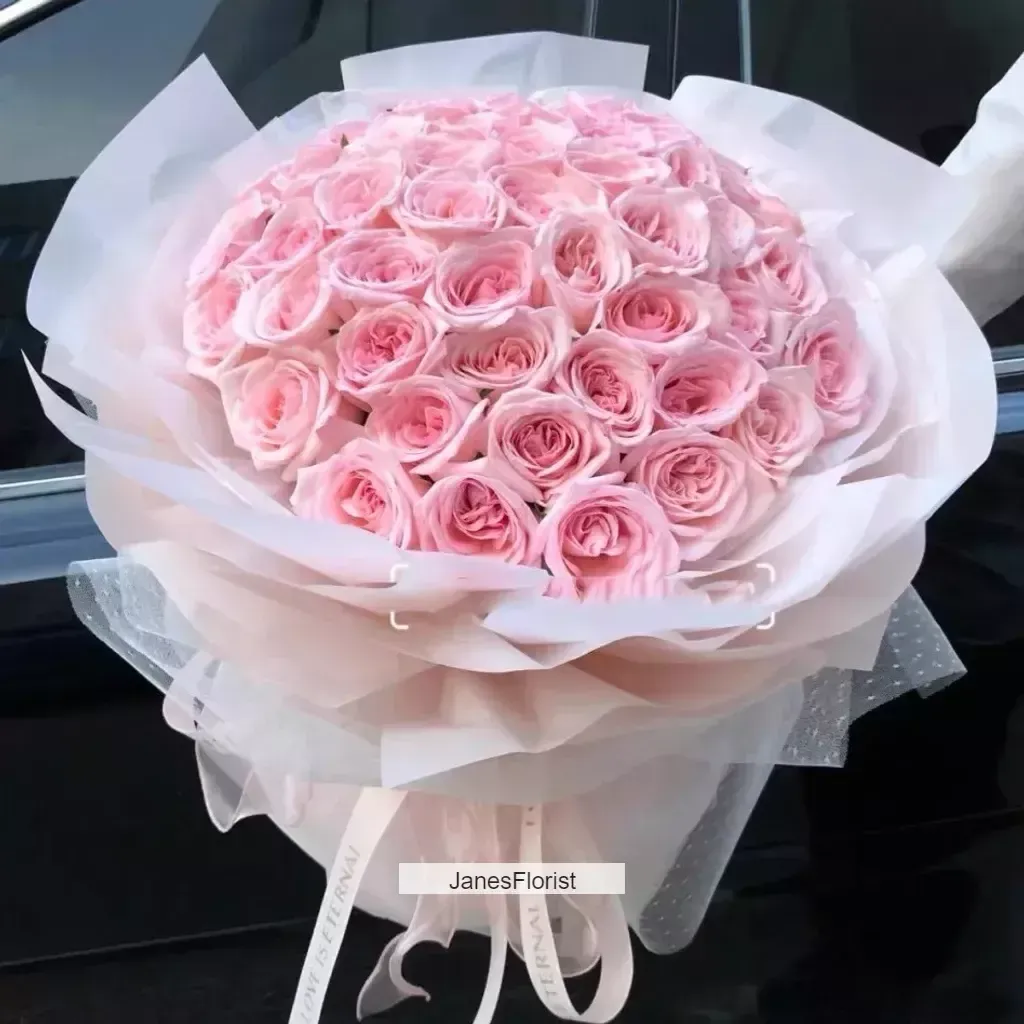 33 Pink Rose
