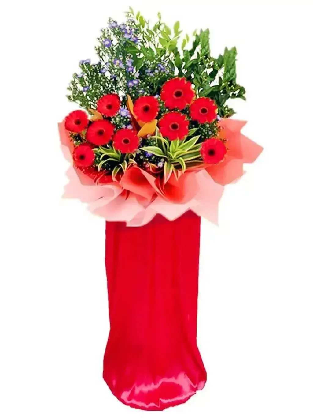 Opening Flower Red Daisy 39