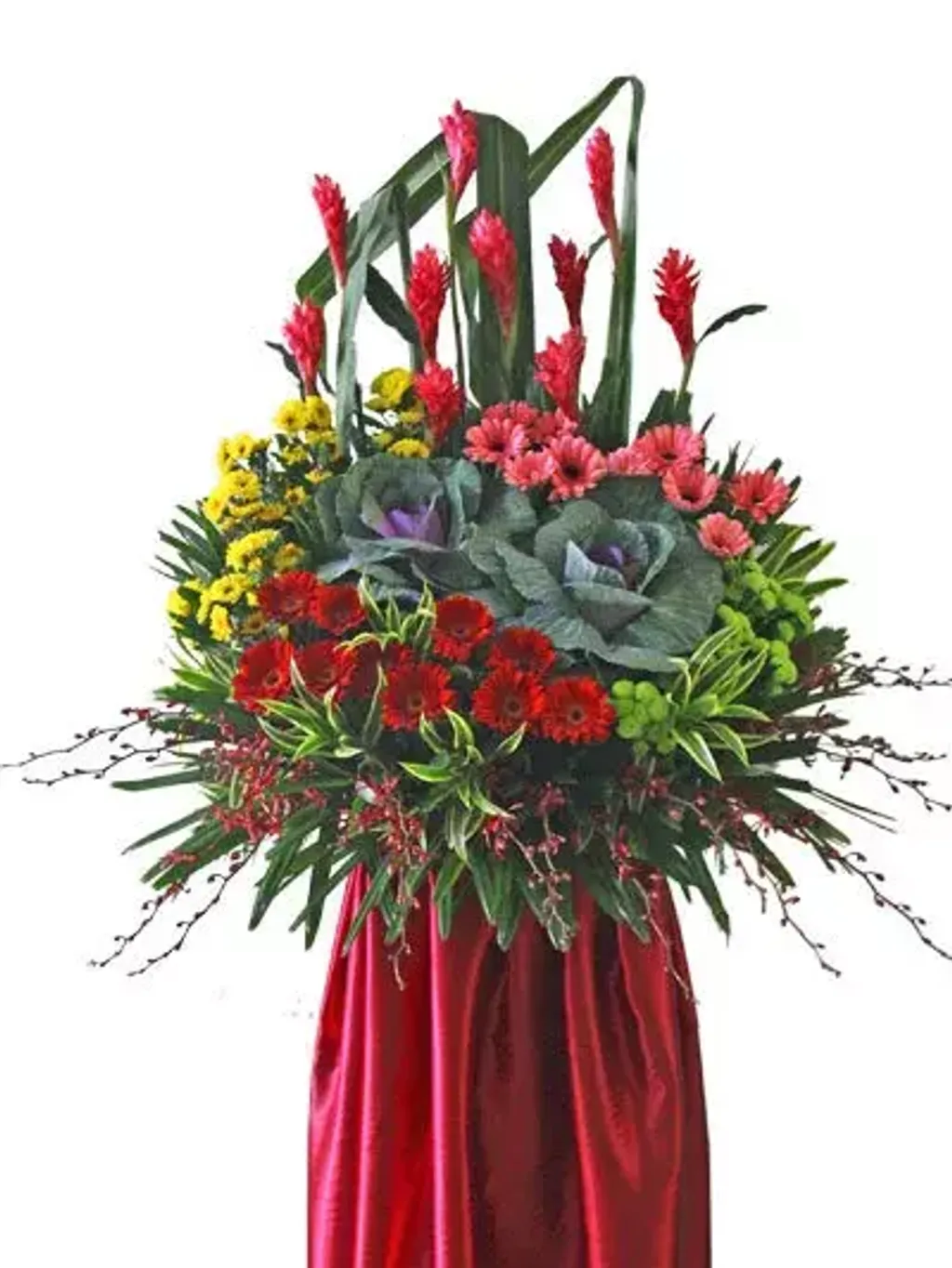 Opening Flower 152