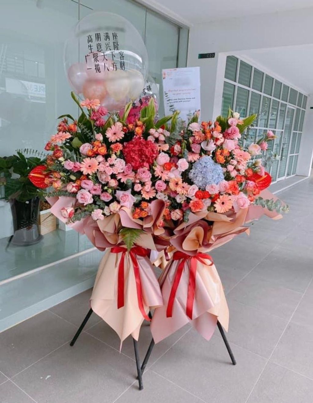 Opening Flower 240